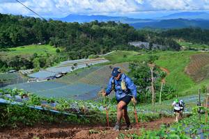 BIB: 
                            <button type="button" onclick="openModal(13381113)" class="btn btn-primary btn-sm float-right btn-popup" data-toggle="modal" data-target=".modal-high-quality">
                        <i class="fas fa-shopping-cart"></i> Add to Cart
                    </button>
                                            <button type="button" onclick="isThisMe(13381113, true)" class="btn btn-success btn-sm float-right btn-popup btn-isme hidden" data-toggle="tooltip" data-placement="bottom" title="นี่คือรูปของคุณใช่ไหม คลิกที่นี่เพื่อเอาเข้าอัลบั้ม">
                        <i class="fas fa-plus"></i> Add to album
                    </button>
                    <button type="button" onclick="isThisMe(13381113, false)" class="btn btn-warning btn-sm float-right btn-popup btn-isnotme hidden">
                        <i class="fas fa-ban"></i> Remove from album
                    </button>